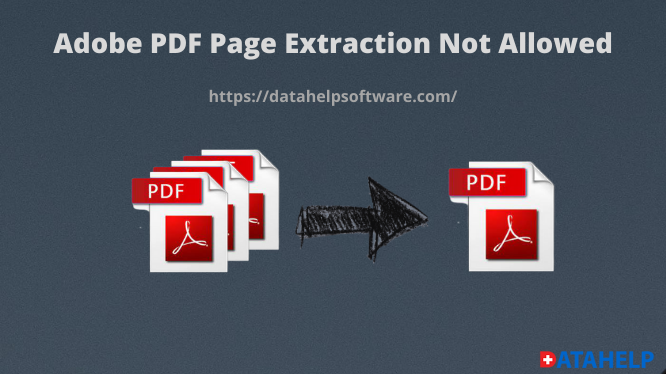 Adobe Pdf Page Size Options