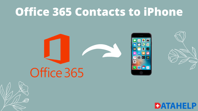 Office 365 Contacts To IPhone How To Import Easily office-365-contacts-to-iphone-how-to-import-easily